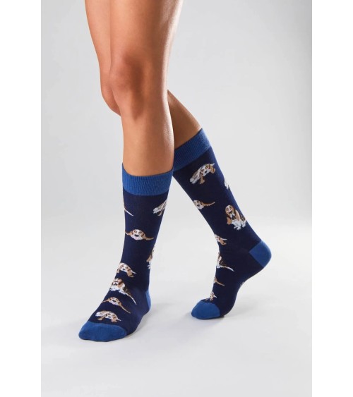 Chaussettes - BeBasset - Basset Hound Besocks jolies pour femme originales pour homme chausset rigolotes drole Suisse