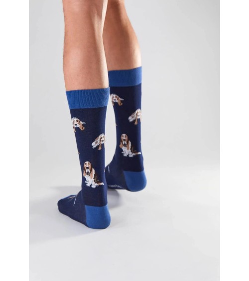Socks - BeBasset - Basset Hound Besocks funny crazy cute cool best pop socks for women men