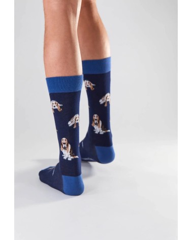 Chaussettes - BeBasset - Basset Hound Besocks jolies pour femme originales pour homme chausset rigolotes drole Suisse