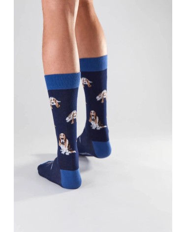 Socks - BeBasset - Basset Hound Besocks funny crazy cute cool best pop socks for women men