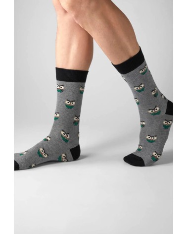 Chaussettes BeOwl - Hibou - Gris Besocks jolies pour femme originales pour homme chausset rigolotes drole Suisse