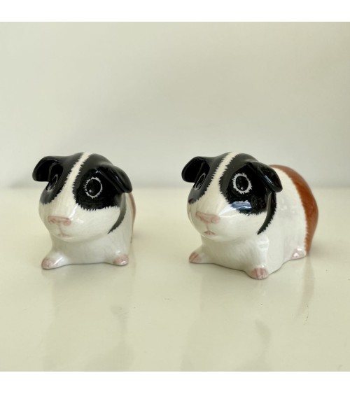 Guinea Pig - Salt and pepper shaker Quail Ceramics pots set shaker cute unique cool