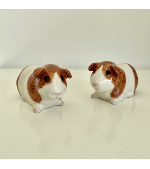 Guinea Pig - Salt and pepper shaker Quail Ceramics pots set shaker cute unique cool