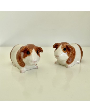 Guinea Pig - Salt and pepper shaker Quail Ceramics pots set shaker cute unique cool