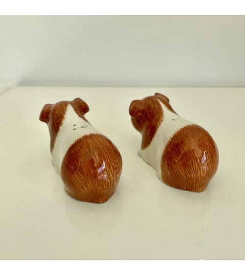 Guinea Pig - Salt and pepper shaker Quail Ceramics pots set shaker cute unique cool