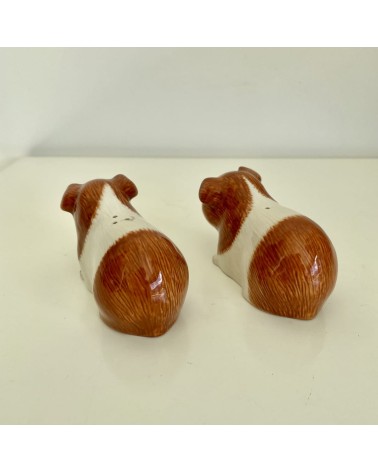 Guinea Pig - Salt and pepper shaker Quail Ceramics pots set shaker cute unique cool