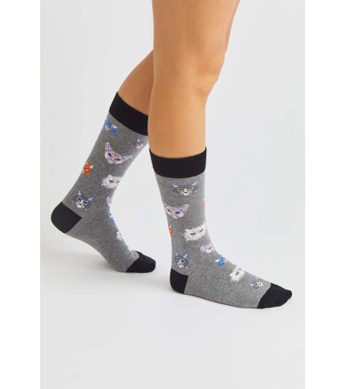 Chaussettes - BeCats - Chats Besocks jolies pour femme originales pour homme chausset rigolotes drole Suisse