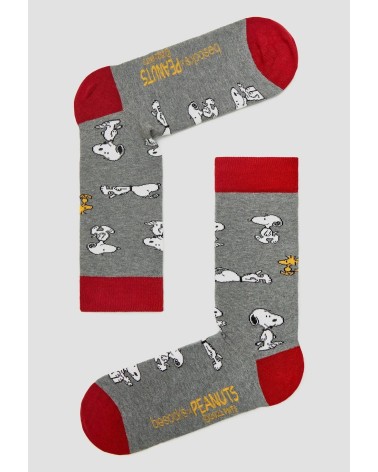 Chaussettes - Be Snoopy - Gris Besocks jolies pour femme originales pour homme chausset rigolotes drole Suisse