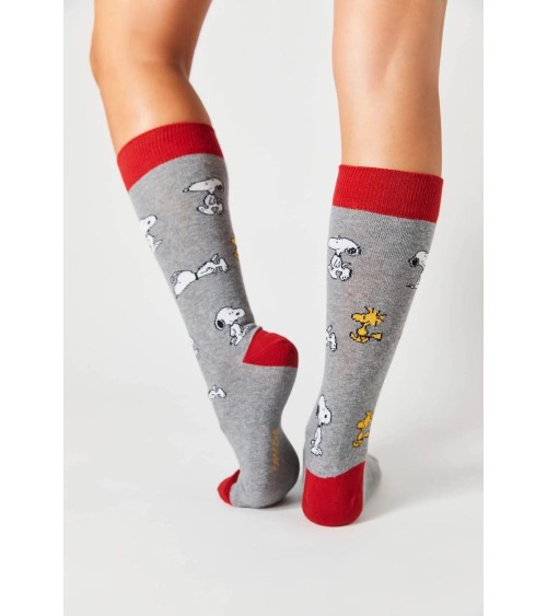 Calzini - Be Snoopy - Grigio Besocks calze da uomo per donna divertenti simpatici particolari