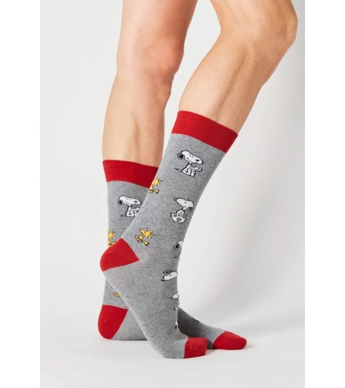 Chaussettes - Be Snoopy - Gris Besocks jolies pour femme originales pour homme chausset rigolotes drole Suisse
