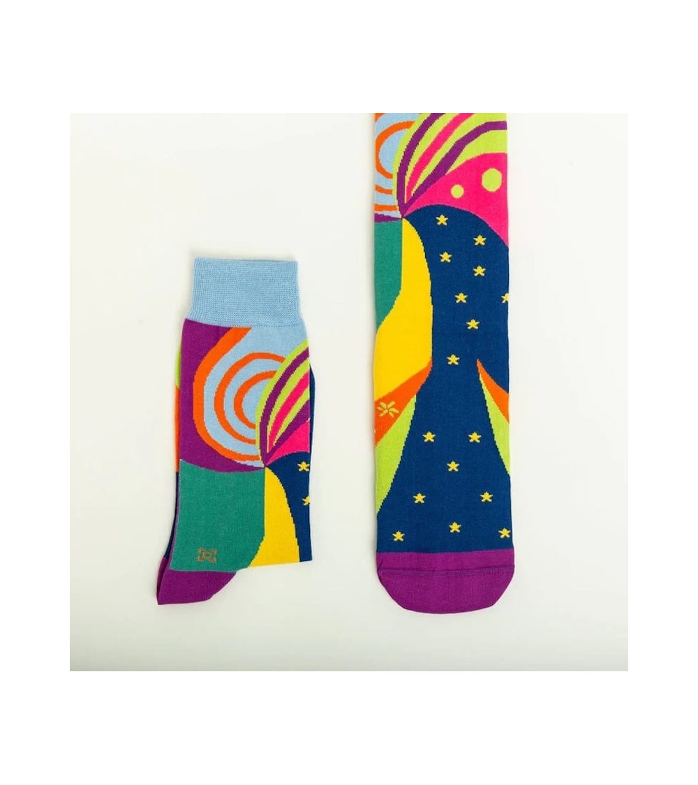Calzini - Portrait de Félix Fénéon Curator Socks calze da uomo per donna divertenti simpatici particolari