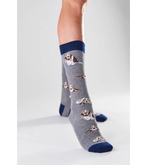 Socken - BeBasset - Basset Hound - Grau Besocks socke kuschelsocken für damen lustig herren farbige coole socken