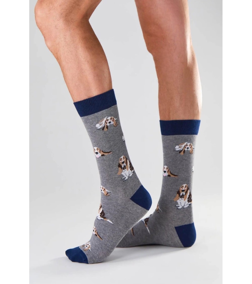 Chaussettes - BeBasset - Basset Hound - Gris Besocks jolies pour femme originales pour homme chausset rigolotes drole Suisse