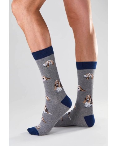 Socken - BeBasset - Basset Hound - Grau Besocks socke kuschelsocken für damen lustig herren farbige coole socken