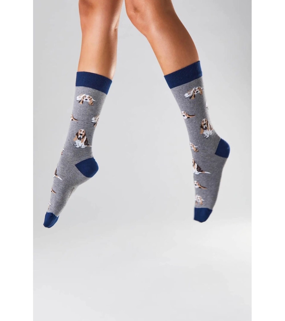 Chaussettes - BeBasset - Basset Hound - Gris Besocks jolies pour femme originales pour homme chausset rigolotes drole Suisse