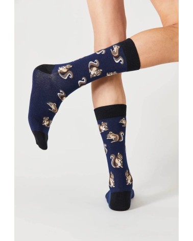 Chaussettes BeSquirrel - Écureuil - Bleu Besocks jolies pour femme originales pour homme chausset rigolotes drole Suisse