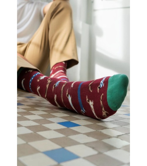 Chaussettes - BePets - Teckels - Grenat Besocks jolies pour femme originales pour homme chausset rigolotes drole Suisse