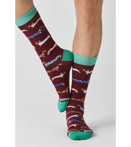 Socken - BePets - Dackel - Granat Besocks Socke lustige Damen Herren farbige coole socken mit motiv kaufen