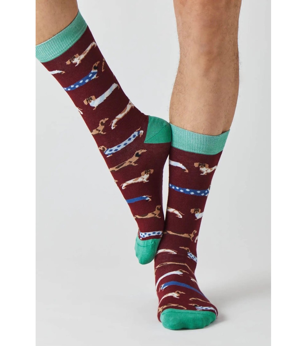 Socks - BePets - Dachshund - Garnet Besocks funny crazy cute cool best pop socks for women men