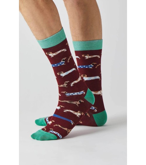 Socks - BePets - Dachshund - Garnet Besocks funny crazy cute cool best pop socks for women men