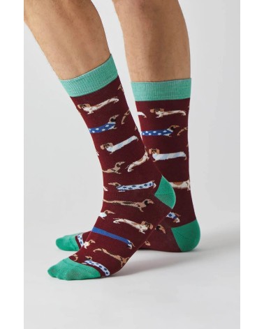 Socks - BePets - Dachshund - Garnet Besocks funny crazy cute cool best pop socks for women men