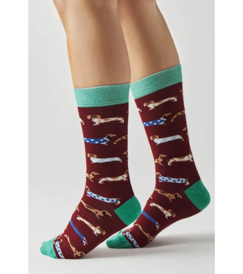 Socks - BePets - Dachshund - Garnet Besocks funny crazy cute cool best pop socks for women men