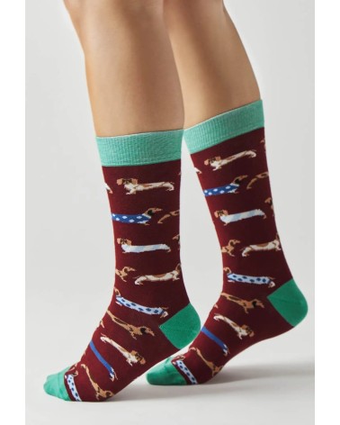 Socks - BePets - Dachshund - Garnet Besocks funny crazy cute cool best pop socks for women men