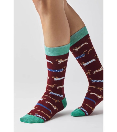 Socken - BePets - Dackel - Granat Besocks socke kuschelsocken für damen lustig herren farbige coole socken