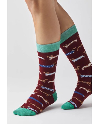 Socks - BePets - Dachshund - Garnet Besocks funny crazy cute cool best pop socks for women men