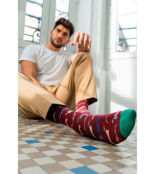 Chaussettes - BePets - Teckels - Grenat Besocks jolies pour femme originales pour homme chausset rigolotes drole Suisse