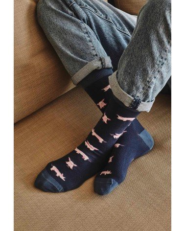 Chaussettes - BePig - Cochon - Bleu Marine Besocks jolies pour femme originales pour homme chausset rigolotes drole Suisse