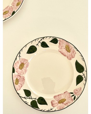 6 Plates - Wild-Rose - Villeroy & Boch Vintage by Kitatori Kitatori.ch - Art and Design Concept Store design switzerland orig...