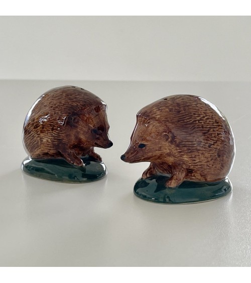 Hedgehog - Salt and pepper shaker Quail Ceramics pots set shaker cute unique cool