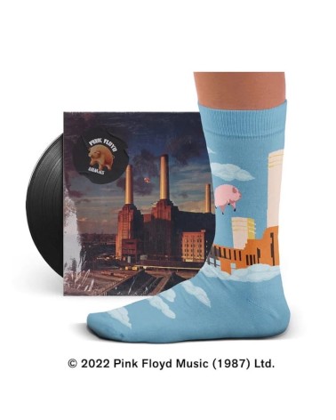 Animals - Pink Floyd - Socken Sock Affairs lustige socken adventskalender Damen Herren farbige coole socken mit motiv kaufen