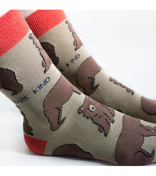 Sauvez les Ours - Chaussettes en bambou Bare Kind jolies pour femme originales pour homme chausset rigolotes drole Suisse