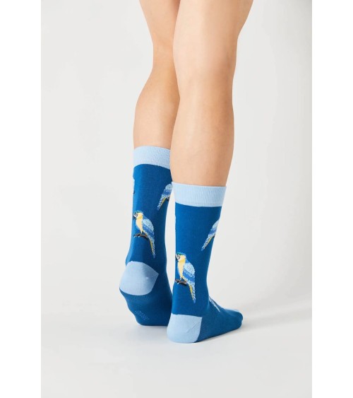 Chaussettes BeParrot - Bleu Besocks calendrier de l avent chaussettes jolies chausset pour homme femme fantaisie drole origin...