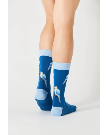 Chaussettes BeParrot - Bleu Besocks calendrier de l avent chaussettes jolies chausset pour homme femme fantaisie drole origin...