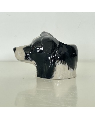 Border Collie - Porta uova in ceramica Quail Ceramics portauova design particolari