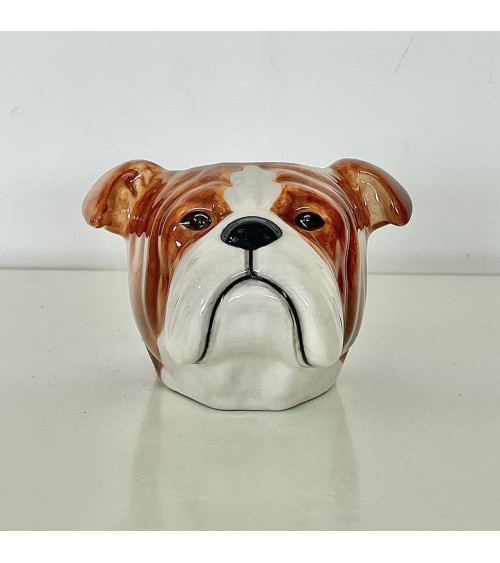 Bulldog Inglese - Porta uova in ceramica