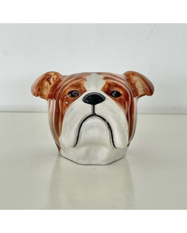 Bulldog Inglese - Porta uova in ceramica Quail Ceramics portauova design particolari