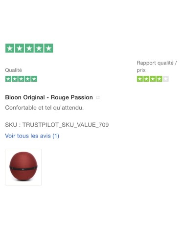 Bloon Original Rouge Passion - Siège ballon Bloon Paris ergonomique swiss ball bureau d'assise