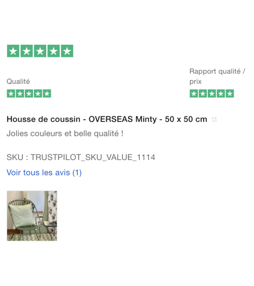OVERSEAS Minty - Housse de coussin pour canapé Brita Sweden coussins décoratifs pour canapé salon deco original suisse
