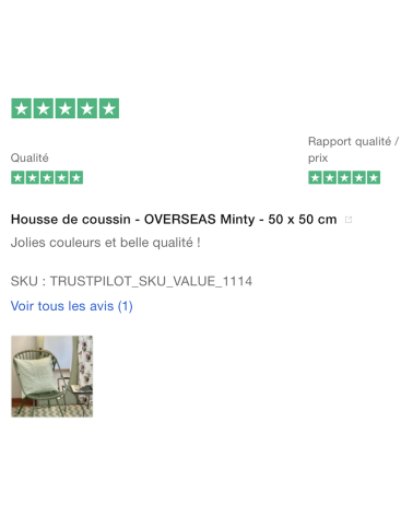 Kissenbezug - OVERSEAS Minty Brita Sweden zierkissen sofa deko kissen kaufen dekokissen sofakissen