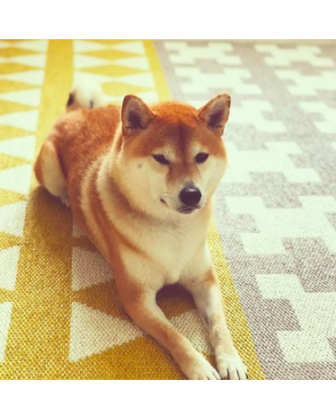 Vinyl Rug - PARIS Yellow / Grey Brita Sweden rugs outdoor carpet kitchen washable cool modern runner rugs