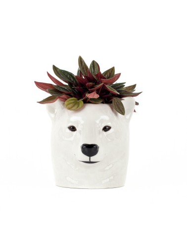Ours Polaire - Porte crayon & stylo, Petit pot de fleur Quail Ceramics bureau original design pour plantes intérieur à couver...