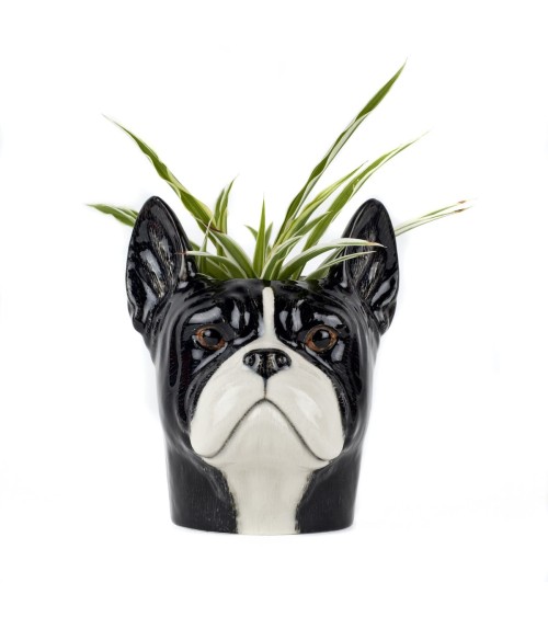 Bouledogue Français - Porte crayon & stylo, Petit pot de fleur Quail Ceramics bureau original design pour plantes intérieur à...