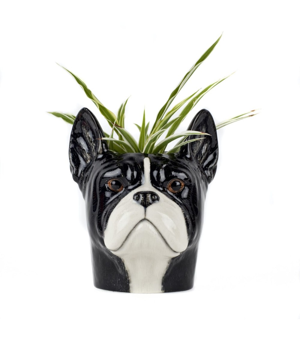 Bulldog Francese - Portapenne e Vasi per piante - Cane Quail Ceramics da scrivania eleganti design originali bambina particolari