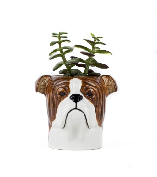 Englische Bulldogge - Stiftehalter & Blumentopf - Hund Quail Ceramics schreibtisch büro kinder besteckbehälter make up pinsel...