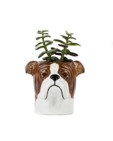 English Bulldog - Animal Pencil pot & Flower pot - Dog Quail Ceramics pretty pen pot holder cutlery toothbrush makeup brush