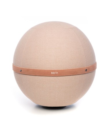 Bloon Original Pastel Pink - Sitting ball yoga excercise balance ball chair for office